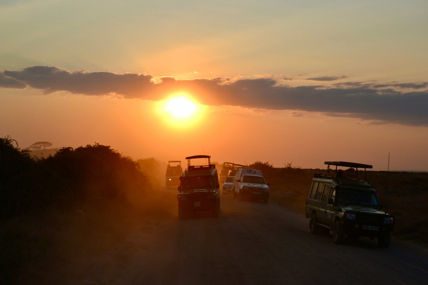 safari tsavo est da watamu