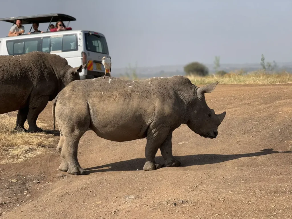 Parco nazionale di Nairobi