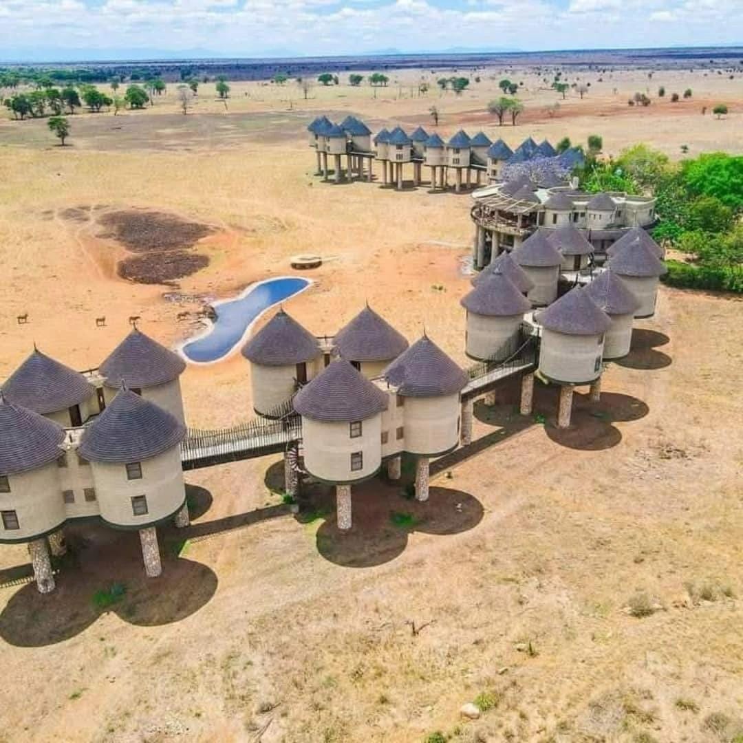 Safari 7 giorni Kenya Taita Hills santuario fauna selvatica da Watamu o Mombasa