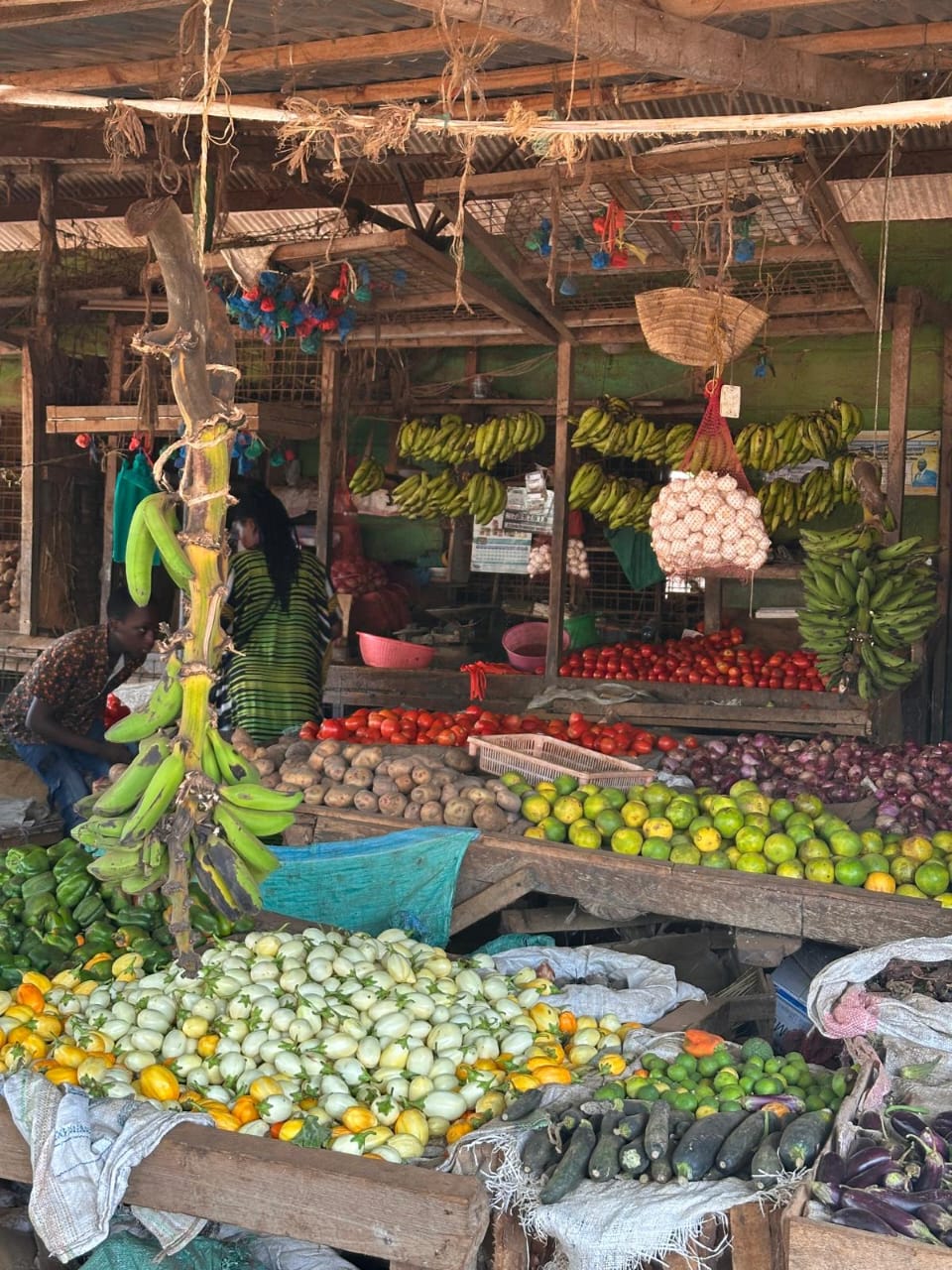 Tour di Malindi di un giorno intero