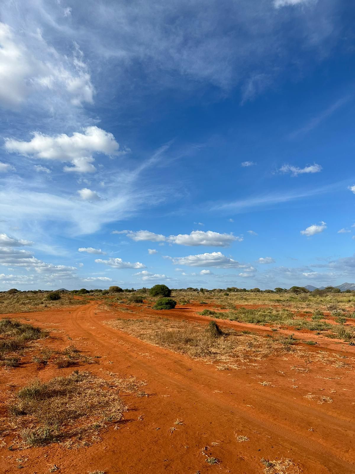 Tsavo Est Kenya