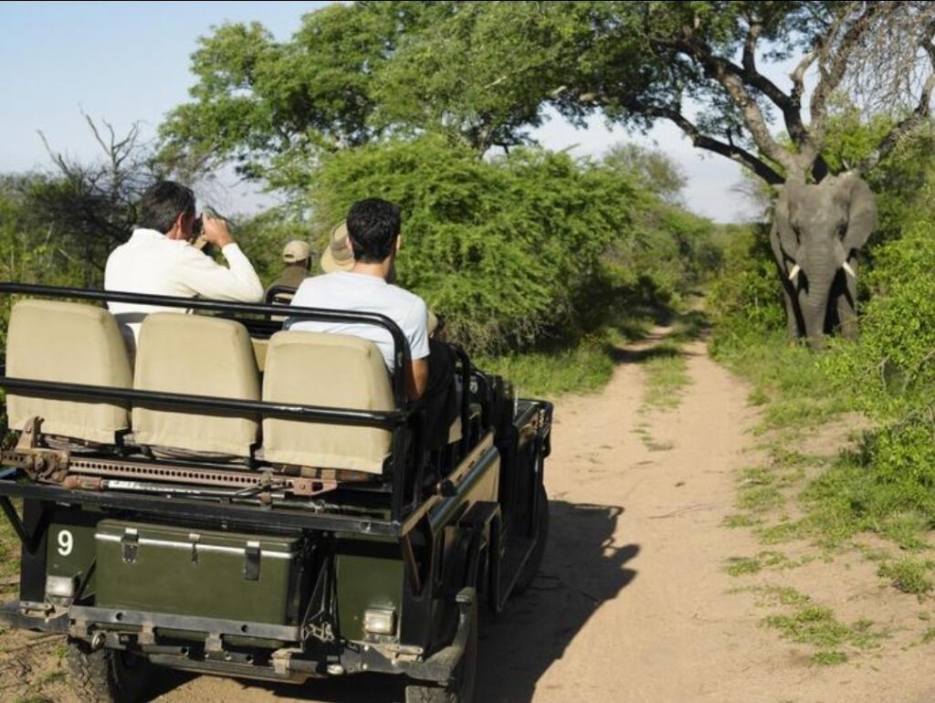 Costo Safari Masai Mara 2026: Guida Completa ai Prezzi e Consigli