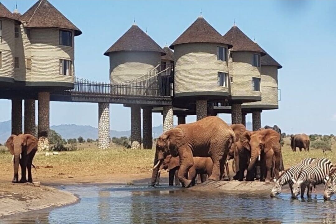 Safari Kenya viaggio di nozze: come sceglierlo