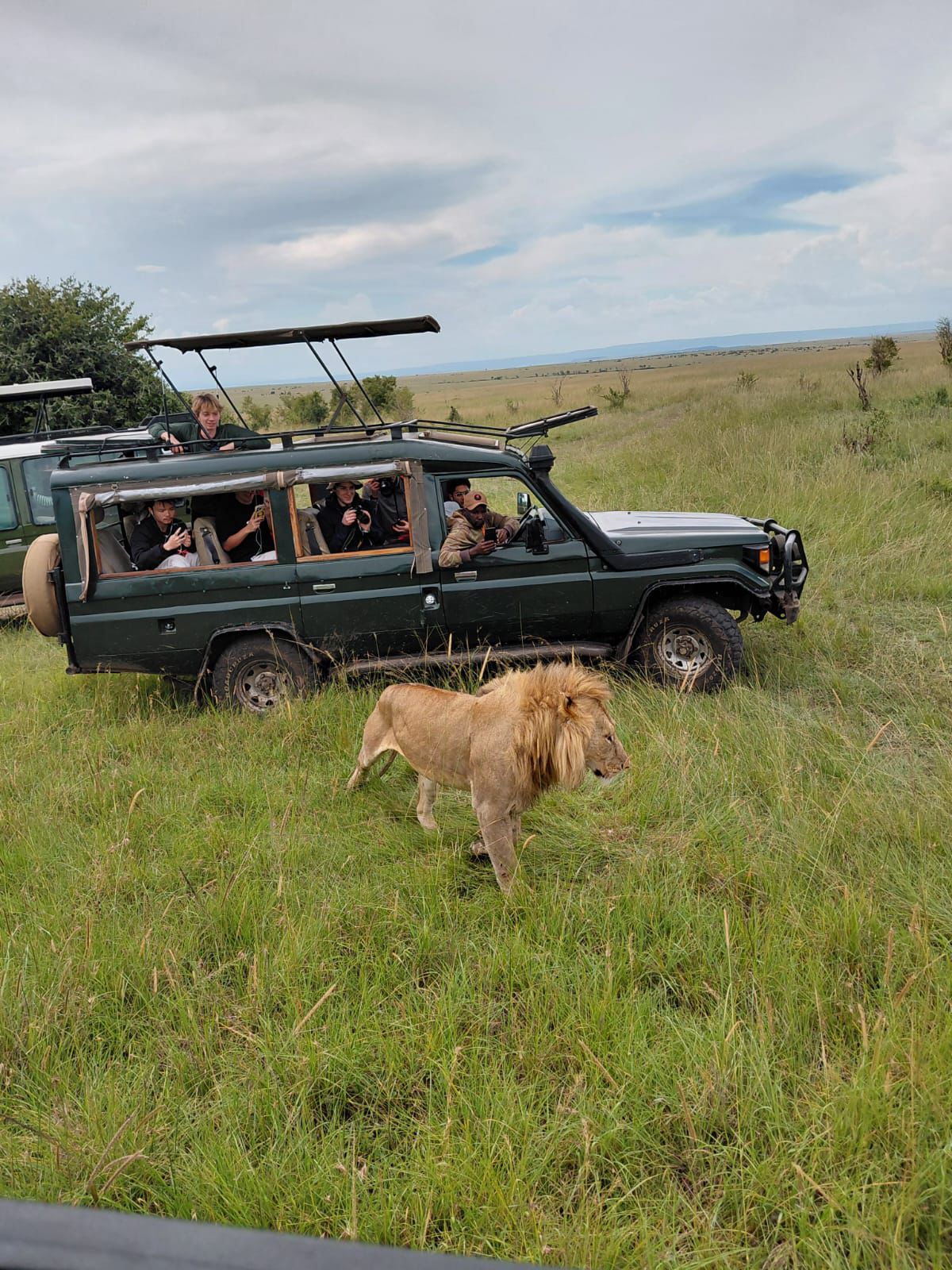 Game drive in Kenya con jeep safari tra animali selvatici al Lago Nakuru