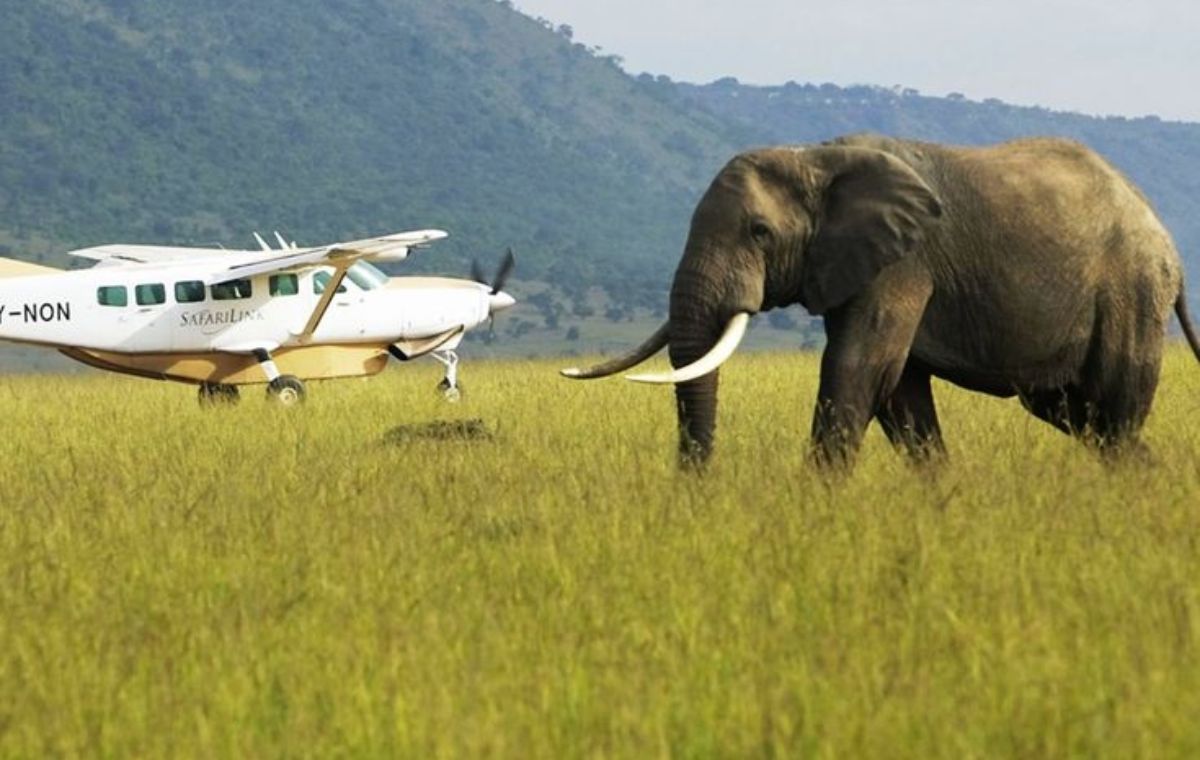 5 Days Masai Mara Fly-in